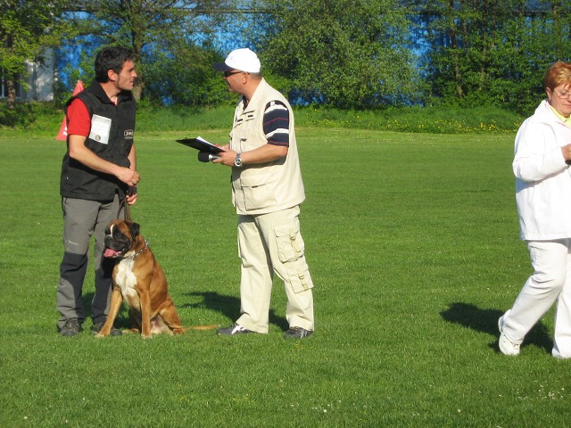 www.atibox.net * www.euroboxer.eu * www.boxergenealogia.eu